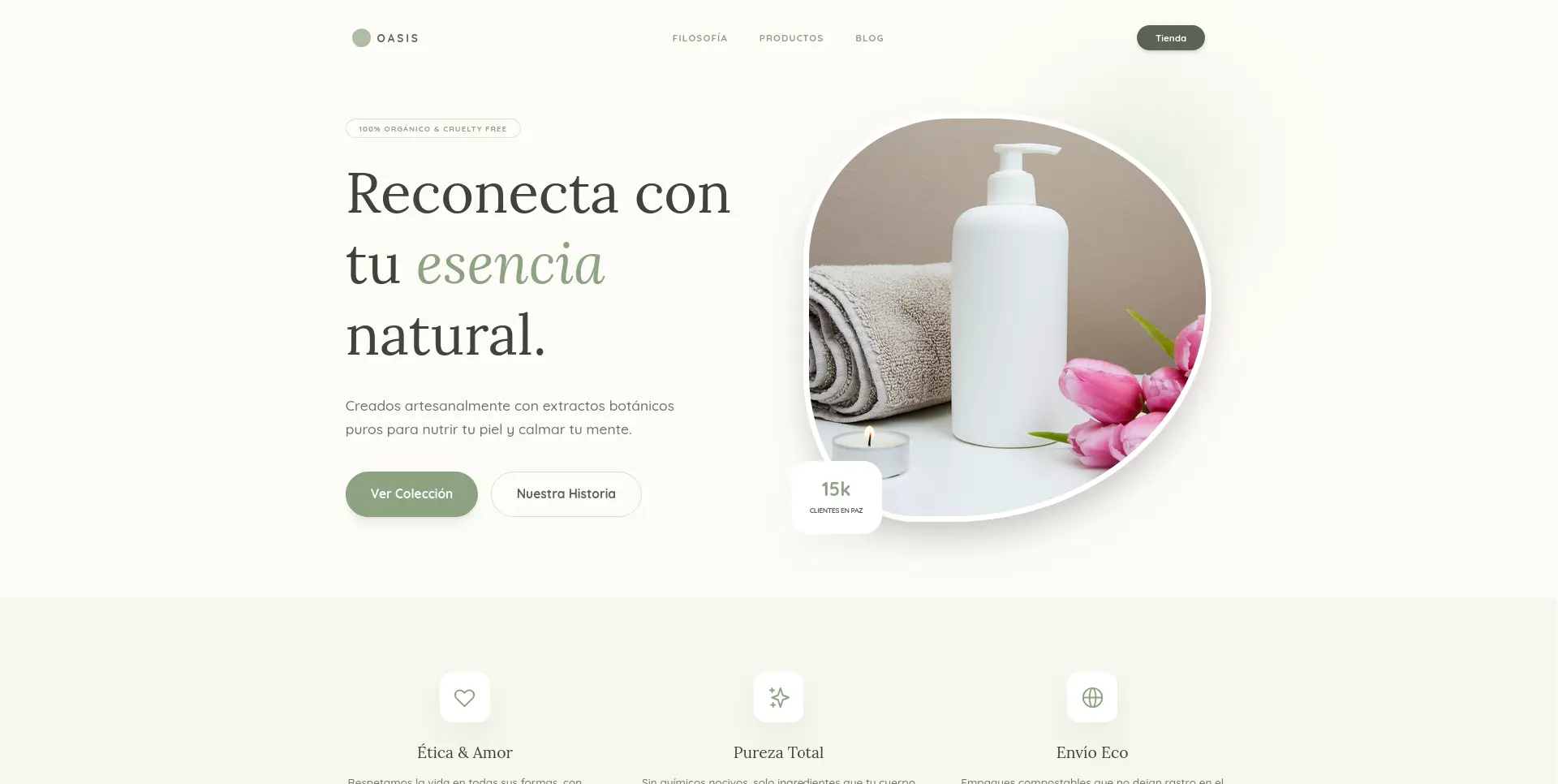 Sitio web desarrollado por StackLab en Paraguay